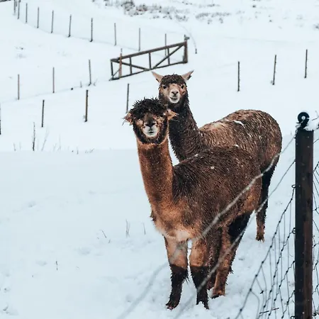 Guest house Wonderinn Riverside