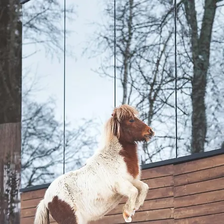 게스트하우스 Wonderinn Riverside *