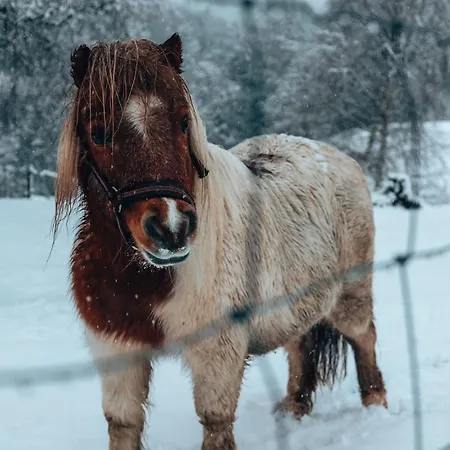 Wonderinn Riverside *