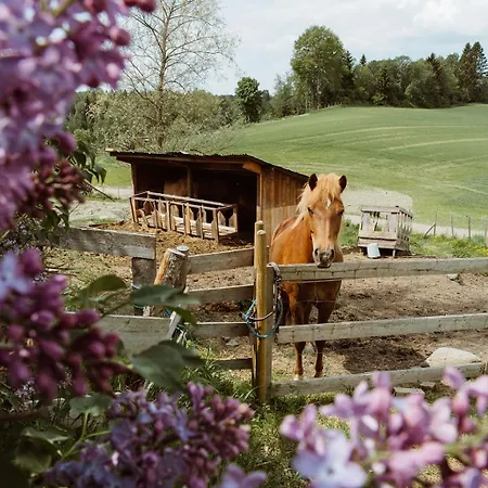 Guest house Wonderinn Riverside *