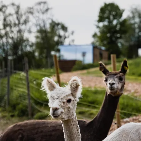 Wonderinn Riverside Arnes (Nes)