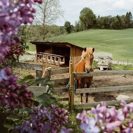 Pensionat Wonderinn Riverside